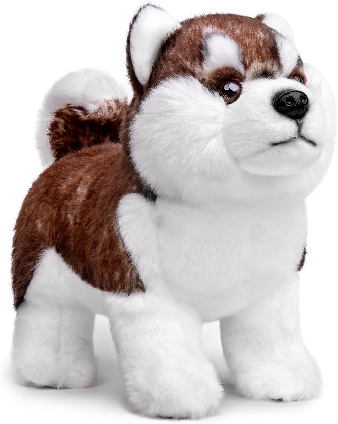  Jackson Husky Dog ハスキー ぬいぐるみ 71+GlA-kLiL.jpg